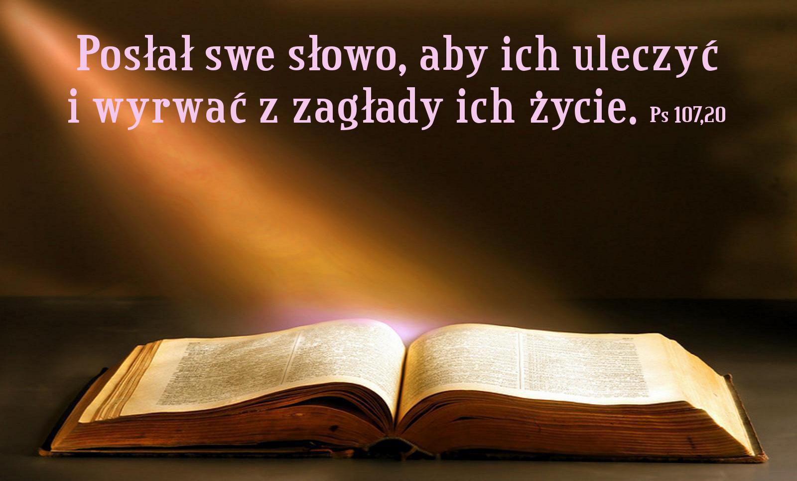Słowo Boże Wydaje Plon W Naszym Sercu Gdy Niedziela Słowa Bożego - 26 stycznia 2020 - Parafia pw. Świętego Pawła